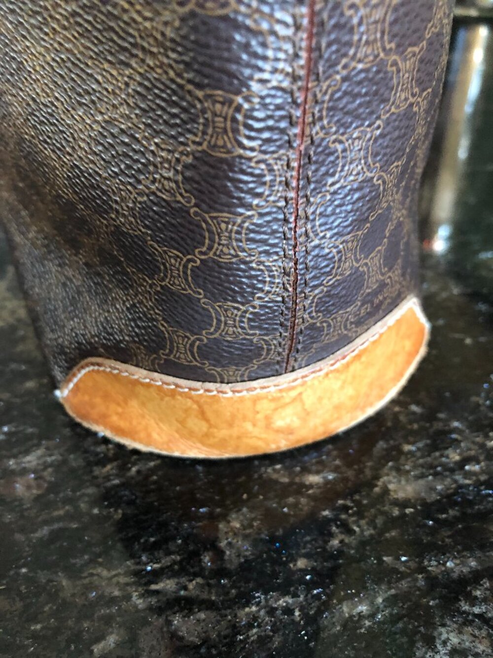 Celine Tote - Picture 10 of 13